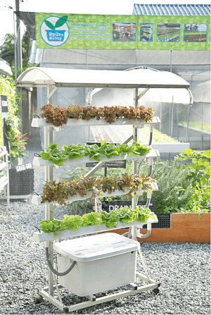 ชุดอุปกรณ์ปลูกผักไฮโดรโปนิกส์ HYDROHOBBY VR 1 เมตร 4 รางปลูก_3